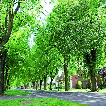 Haus Mit Wlan In Am Mueritzsee Prázdninový dům