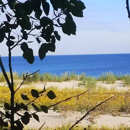 Haus Mit Wlan In Am Mueritzsee * Buchholz (Mecklenburg-Vorpommern)