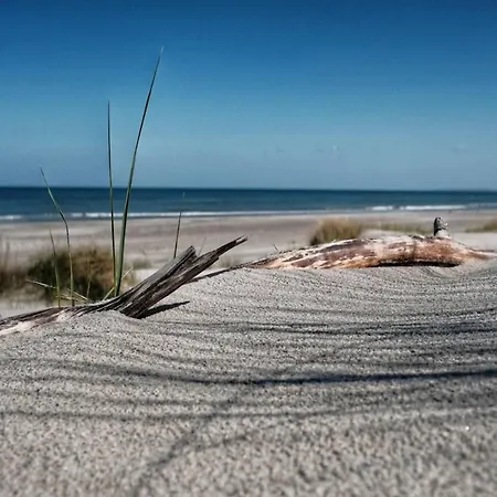 Haus Mit Wlan In Am Mueritzsee Buchholz (Mecklenburg-Vorpommern)