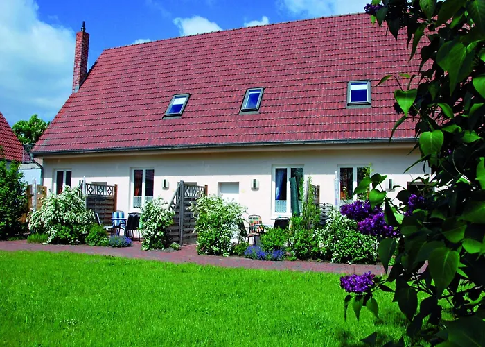 Haus Mit Wlan In Am Mueritzsee