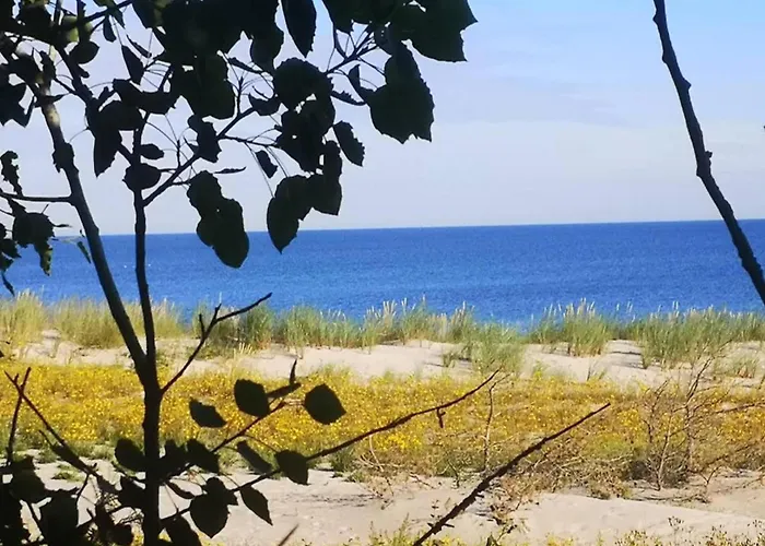 Haus Mit Wlan In Am Mueritzsee * Buchholz (Mecklenburg-Vorpommern)